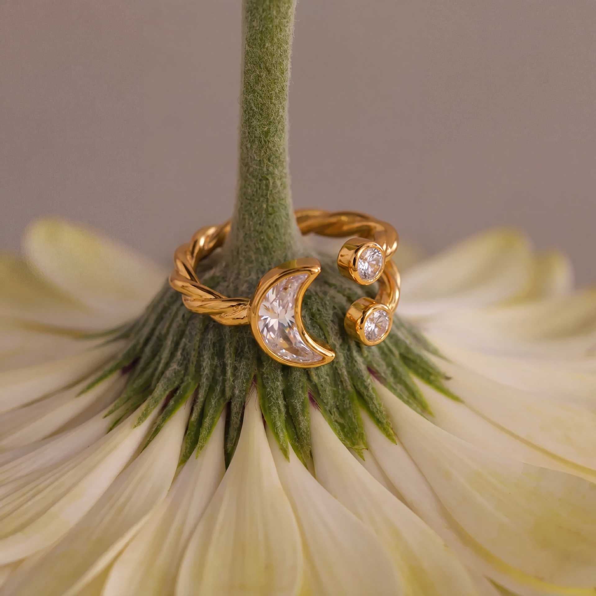 Titanium Steel Gold-Plated Geometric Zirconia Braided Double Heart Gypsophila Diamond-Shape Adjustable Open Ring